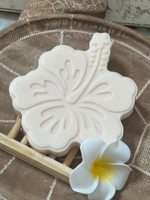 Hibiscus
